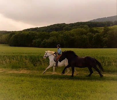 Impulsion, Centre Equestres à Reignier-Ésery
