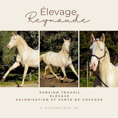 Élevage Reynaude, Centre Equestres à Pierrelatte