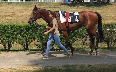 Haras De Montmarcé, Centre Equestres au Merlerault