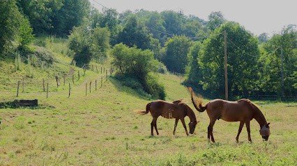 Domaine Equestre Du Fil De L'Eau, Pension pour Chevaux à Laize-Clinchamps