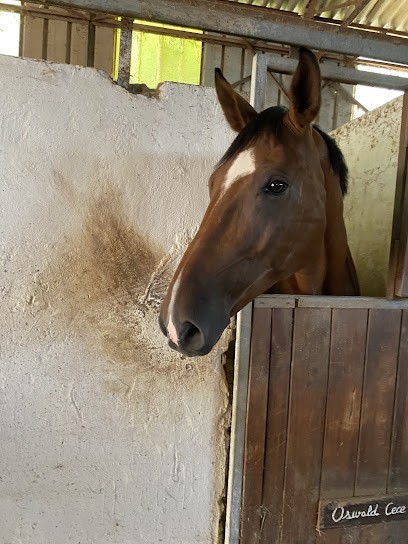 Equestrian Center Les Ruscats, Centre Equestres à Solliès-Pont