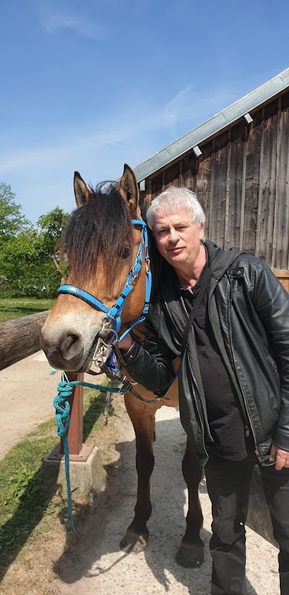 Haras De La CensièRe, Pension pour Chevaux à La Chapelle-en-Serval