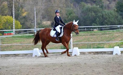 Centre Equestre Cantegril, Centre Equestres à Saint-Martin-de-Caralp