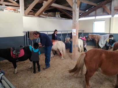 CLV Equitation, Centre Equestres à Locoal-Mendon