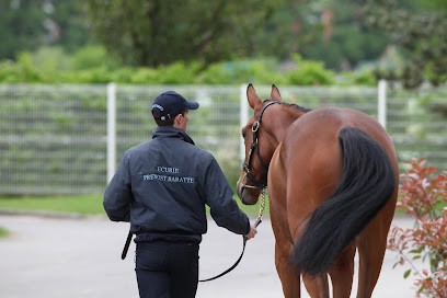 Earl Ecurie Prevost Baratte, Pension pour Chevaux au Mesnil-Eudes