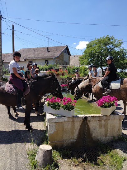 Equestrian Center De La Grange L'etang, Centre Equestres à Saint-Lothain