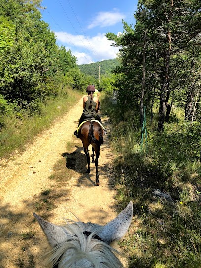 Livestock Des Sorgues, Centre Equestres à Montferrat