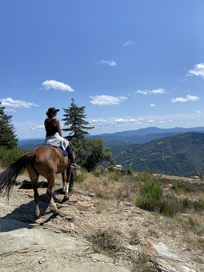 Cévennes À Cheval, Centre Équestre à Saint-Germain-de-Calberte