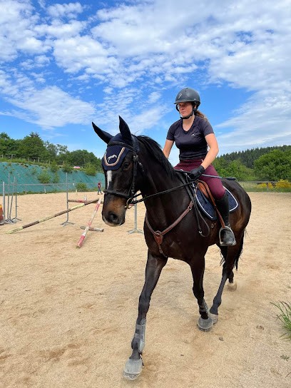 Domaine équestre De Chassignol, Centre Equestres à Thiers