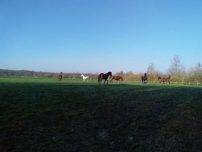 Haras D Usta, Pension pour Chevaux à Solers