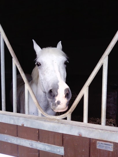Equestrian Club Saint Georges, Centre Equestres à Roissy-en-Brie