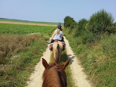 Somme Randonnees A Cheval, Centre Equestres à Sailly-le-Sec