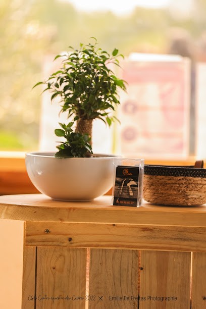 sellerie des cèdres, Magasin de Matériel d'Equitation à Villeton