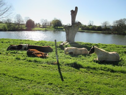 West Equi ' Club Choletais, Centre Equestres à Saint-Christophe-du-Bois