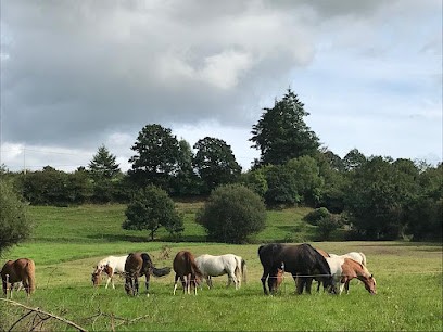 VAL DE VIRE EQUITATION, Centre Equestres à Condé-sur-Vire