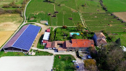 LES ÉCURIES DE LA BARRE - Centre De Reproduction Et Pension, Centre Equestres à Dun