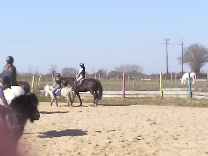 Les De La Seillere, Centre Equestres à Vieillevigne