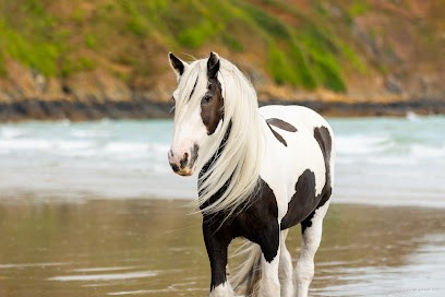 FERME EQUESTRE CRINIERES AUX VENTS, Centre Equestres à Mouais