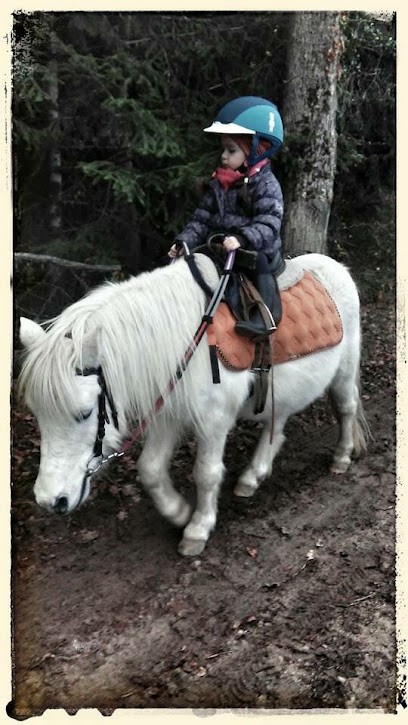 Equestrian Center De Mosnet, Centre Equestres à Thiers