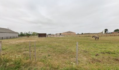 Les Ecuries de Norrey, Pension pour Chevaux à Saint-Manvieu-Norrey