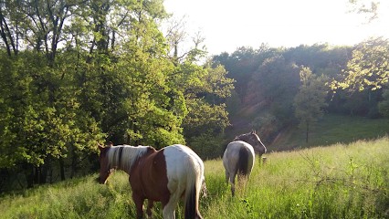 Mane Windward, Centre Equestres à Monbalen