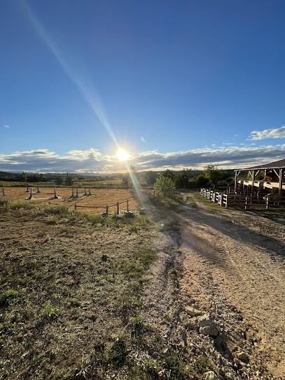 Ecurie de la Mayane, Pension pour Chevaux à Vénéjan