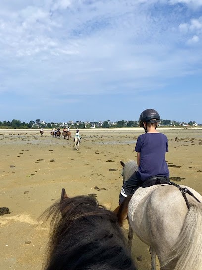 Les poneys de Kerjean, Centre Equestres à Trébeurden