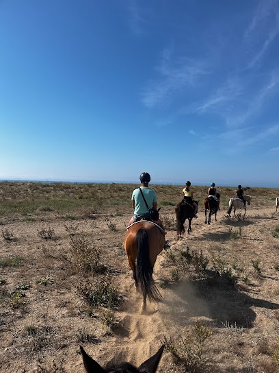 Ranch L, Centre Equestres à Vendres