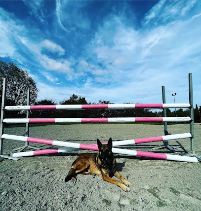 Ecurie Des Arpents Green, Centre Equestres à Beaussais-sur-Mer