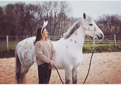 Ecurie First, Pension pour Chevaux à Froberville