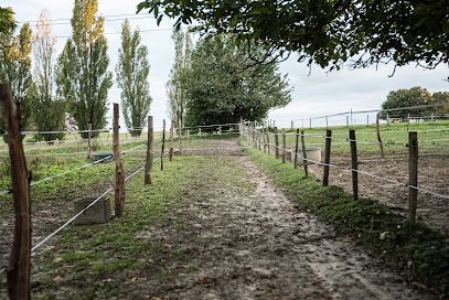Ecuries Pixy, Pension Pour Chevaux à Sonchamp