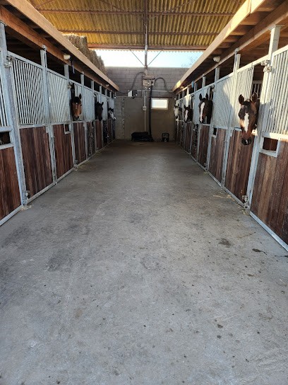 Écurie Lélizé, Pension pour Chevaux à L'Hôpital-le-Grand