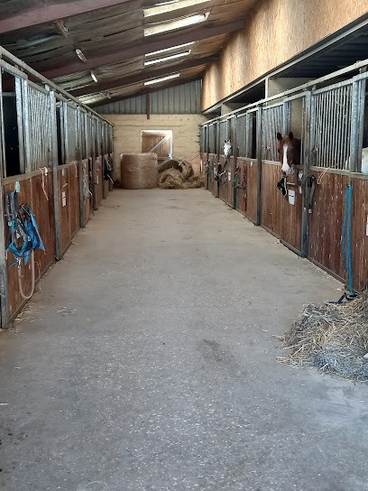 Les Ecuries Du Foron, Centre Equestres à Cornier