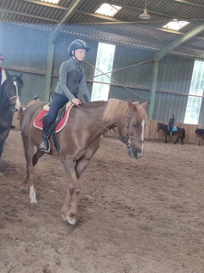 Ecurie Du Domaine, Centre Equestres à Saveuse