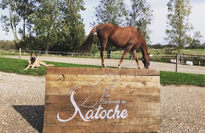 Les Ecuries de Katoche, Pension pour Chevaux à Grand-Camp