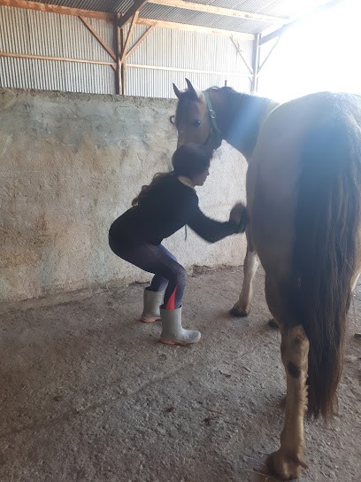L'ECURIE DES VENTS, Centre Equestres à Saint-Christophe-du-Ligneron