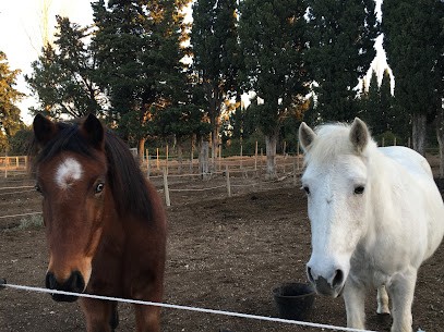 Equestrian Center D'eygalières, Centre Equestres à Eygalières