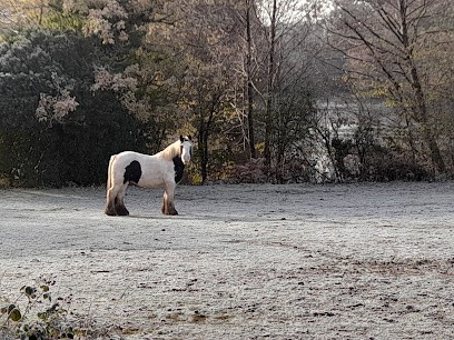 EARL DU HAUT PLATEAU, Pension pour Chevaux à Saint-Broladre