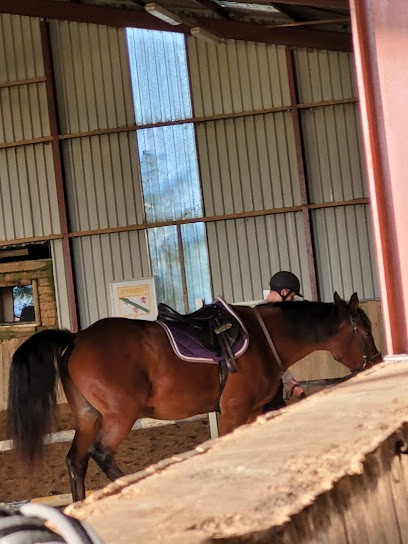 PONEY CLUB CENTRE EQUESTRE DE JEUMONT, Centre Equestres à Jeumont