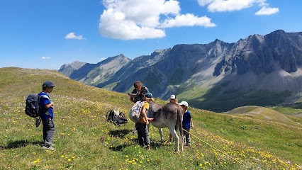 Les Anes En Montagne - Farm Des Anes, Centre Equestres à Saint-Jean-d'Arves