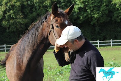 Haras du Cap Manvieux, Centre Equestres à Cigogné