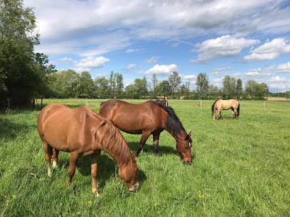 EARL LIEBAULT, Pension pour Chevaux à Humbécourt