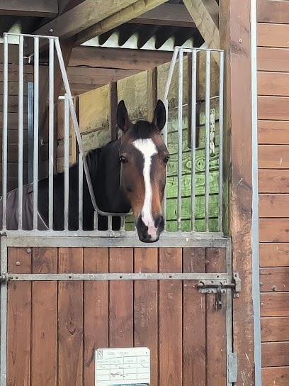 Ecuries RICHEZ, Pension pour Chevaux à Chailly-en-Bière