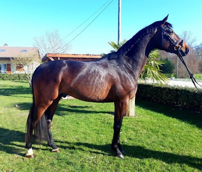 ECURIES DE L AUBOIS, Centre Equestres à La Guerche-sur-l'Aubois