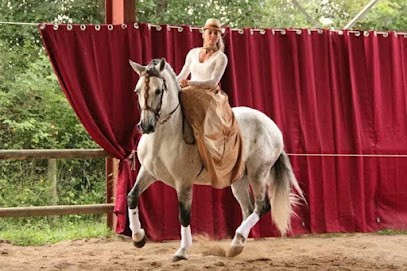 Écurie Occitane, Centre Equestres à Sérignac