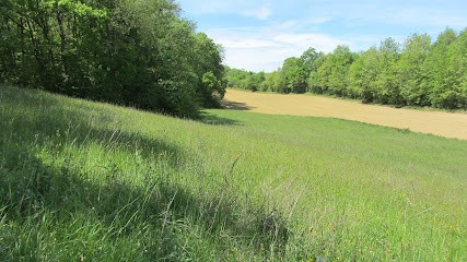 Au paradis du vieux sabot, Pension pour Chevaux à Betcave-Aguin