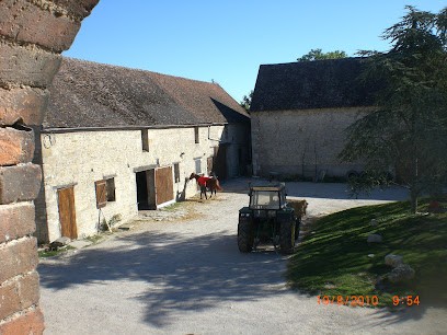 Equestrian Center Du Pithiverais, Centre Equestres à Pithiviers-le-Vieil