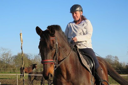 Pension Équine - Écurie Van Der Bild, Pension pour Chevaux à Mouchamps