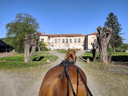 Rêve D'équilibre Centre Équestre au Breuil-sur-Couze