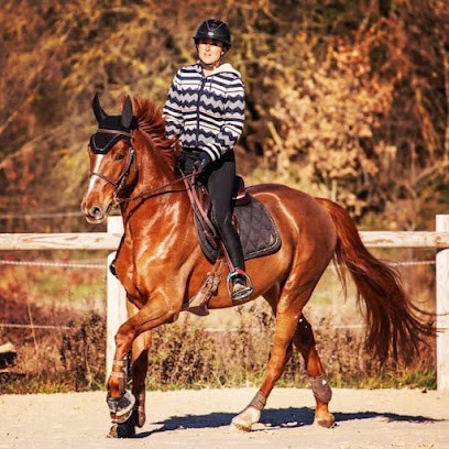 Haras Du Latay, Pension pour Chevaux à Signes